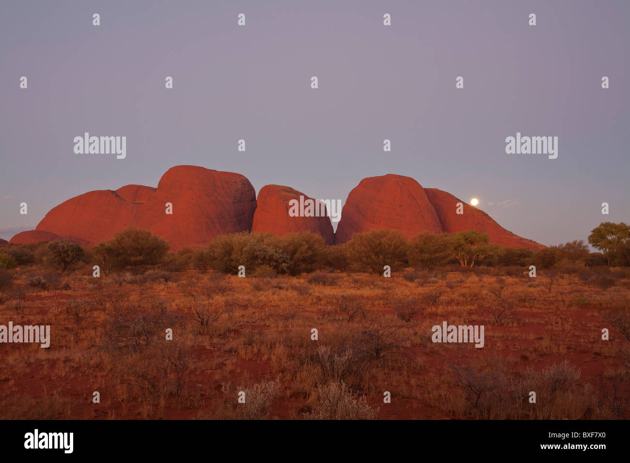 Mond steigt über Kata Tjuta (die Olgas), Uluru - Kata Tjuta National Park, Northern Territory Stockfoto