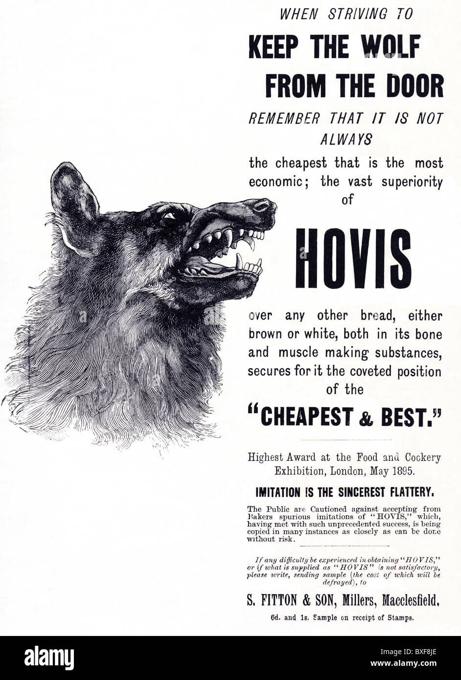Hovis Brot Anzeige ca. 1896 mit Wolf viktorianischen Werbung Stockfoto