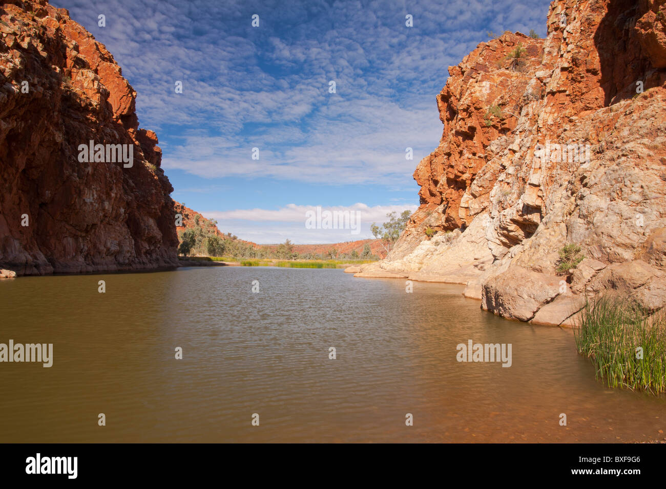 Wasserloch neben roten Felsen von Glen Helen Gorge, Northern Territory, West Macdonnell National Park, Alice Springs Stockfoto