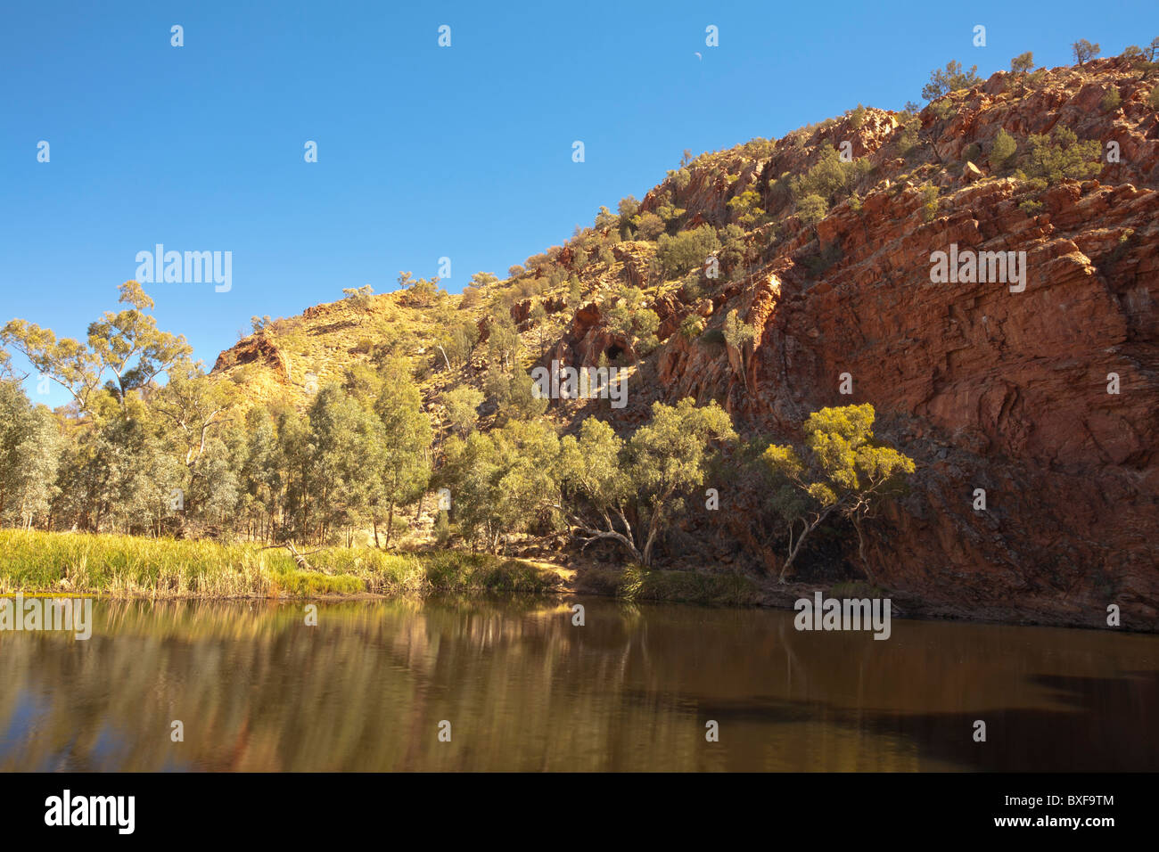 Wasserloch neben roten Felsen von Ellery Creek Big Hole, West Macdonnell National Park, Alice Springs, Northern Territory Stockfoto