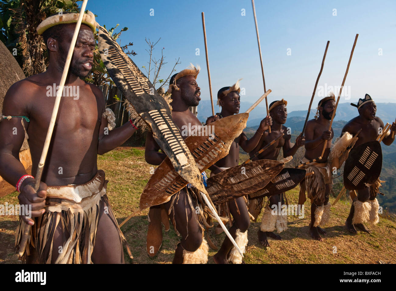 Zulu Männer (Krieger) tanzen. PheZulu Dorf. Bothas Hill. KwaZulu Natal. Südafrika. Stockfoto