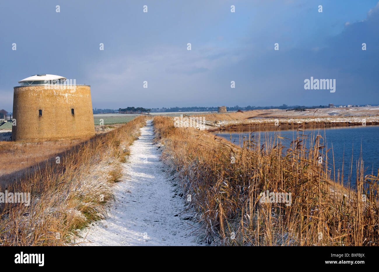 Martello-Turm Y, Bawdsey, Suffolk, England. Stockfoto