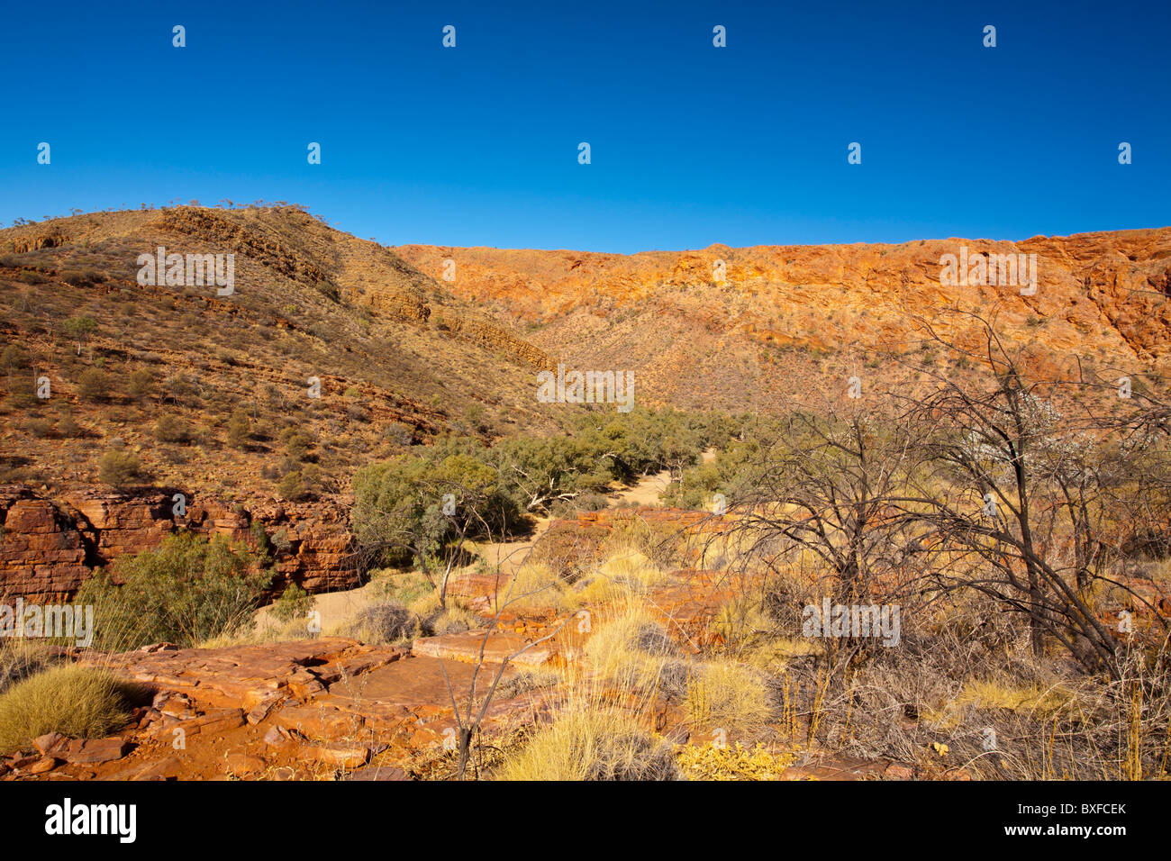 Trockenen Bachbett durch Trephina Gorge im Osten MacDonnell Ranges, Alice Springs, Northern Territory Stockfoto