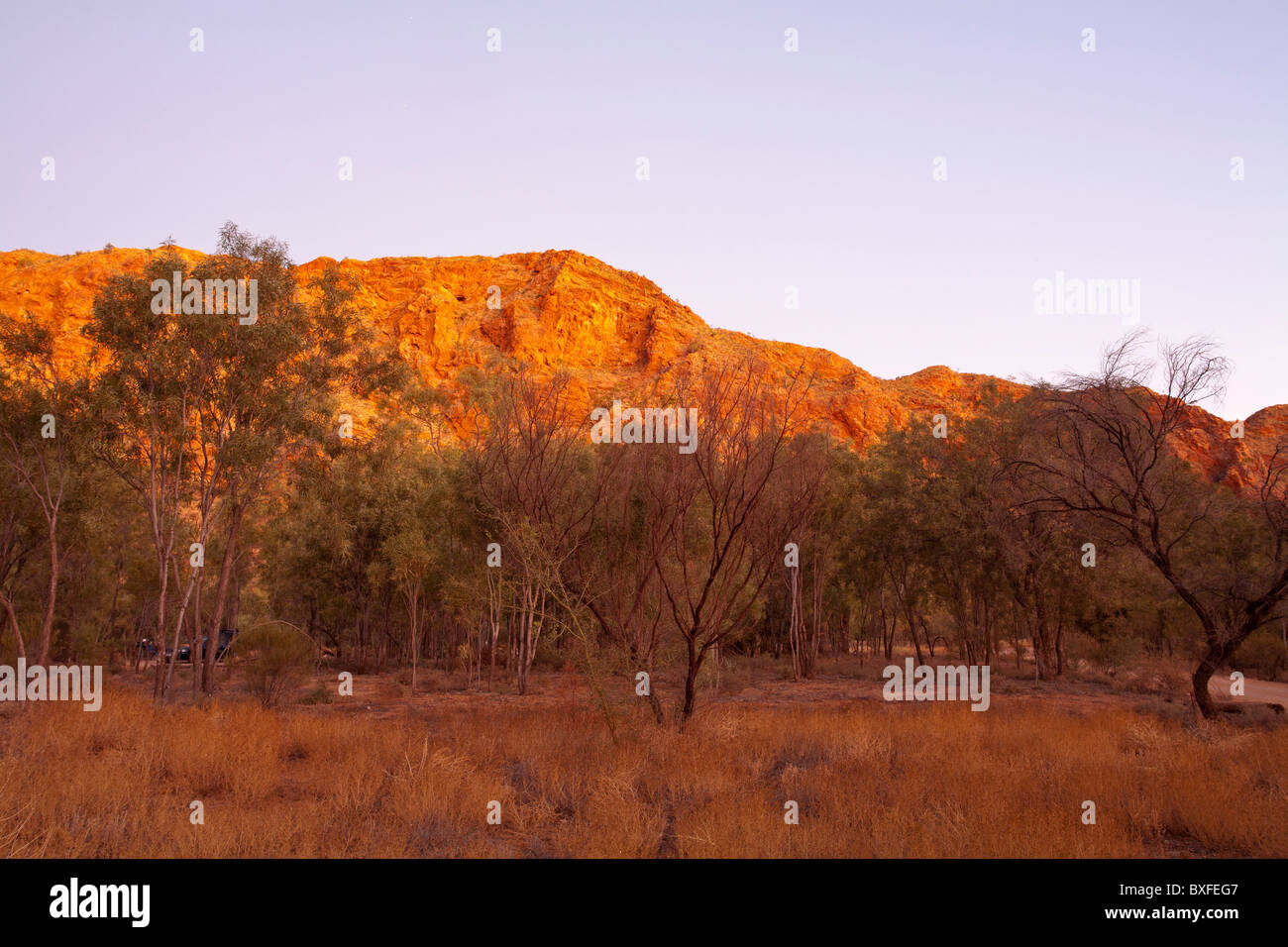 Twilight auf den roten Klippen von Trephina Gorge, Alice Springs, Northern Territory Stockfoto