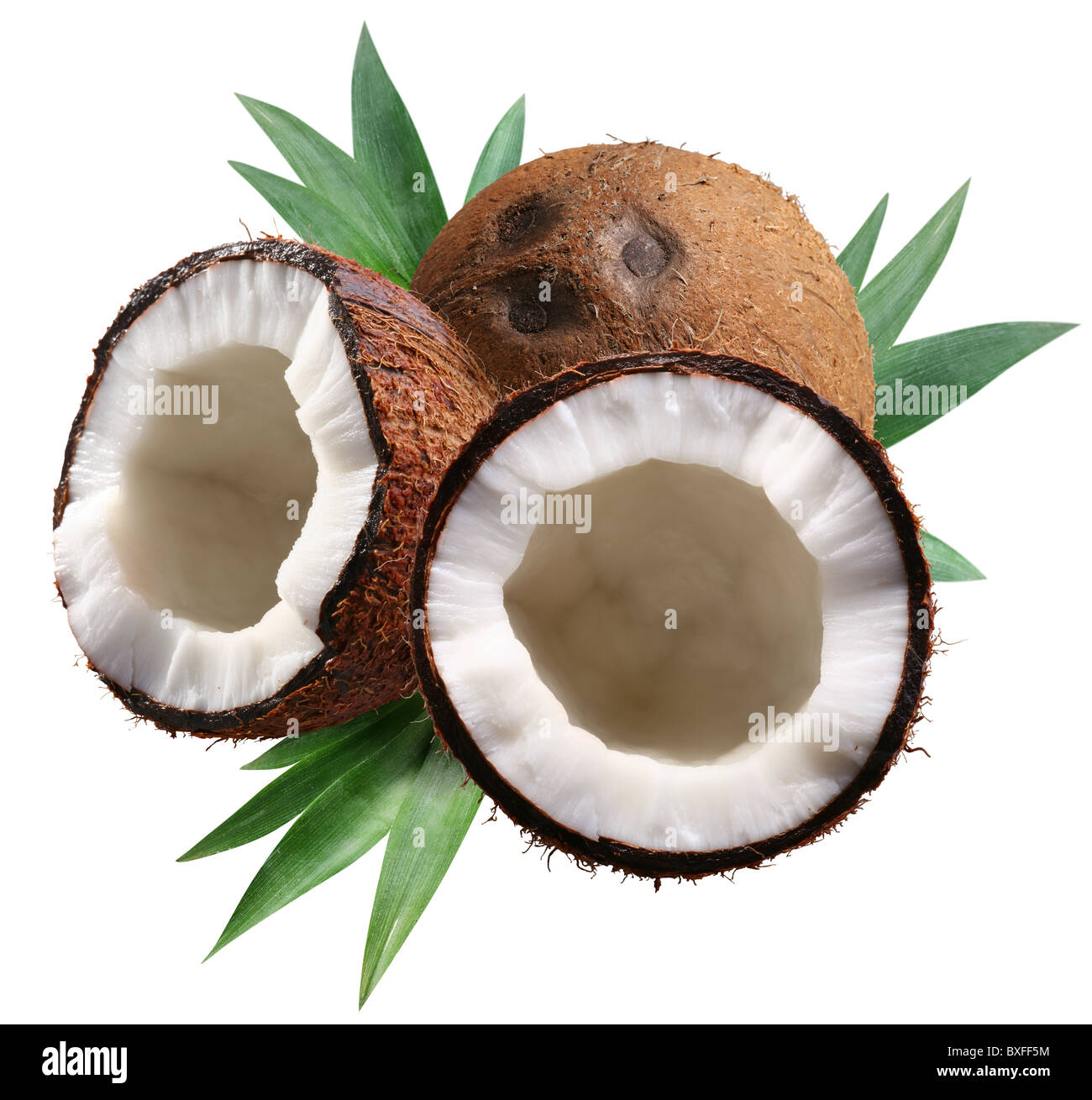 Gehackte Kokosnüsse mit Blättern auf weißem Hintergrund. Datei enthält eine Beschneidungspfade. Stockfoto