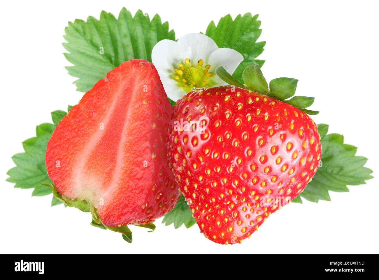Verführerische Erdbeeren mit Blättern und Blumen. Datei enthält eine Beschneidungspfade. Stockfoto