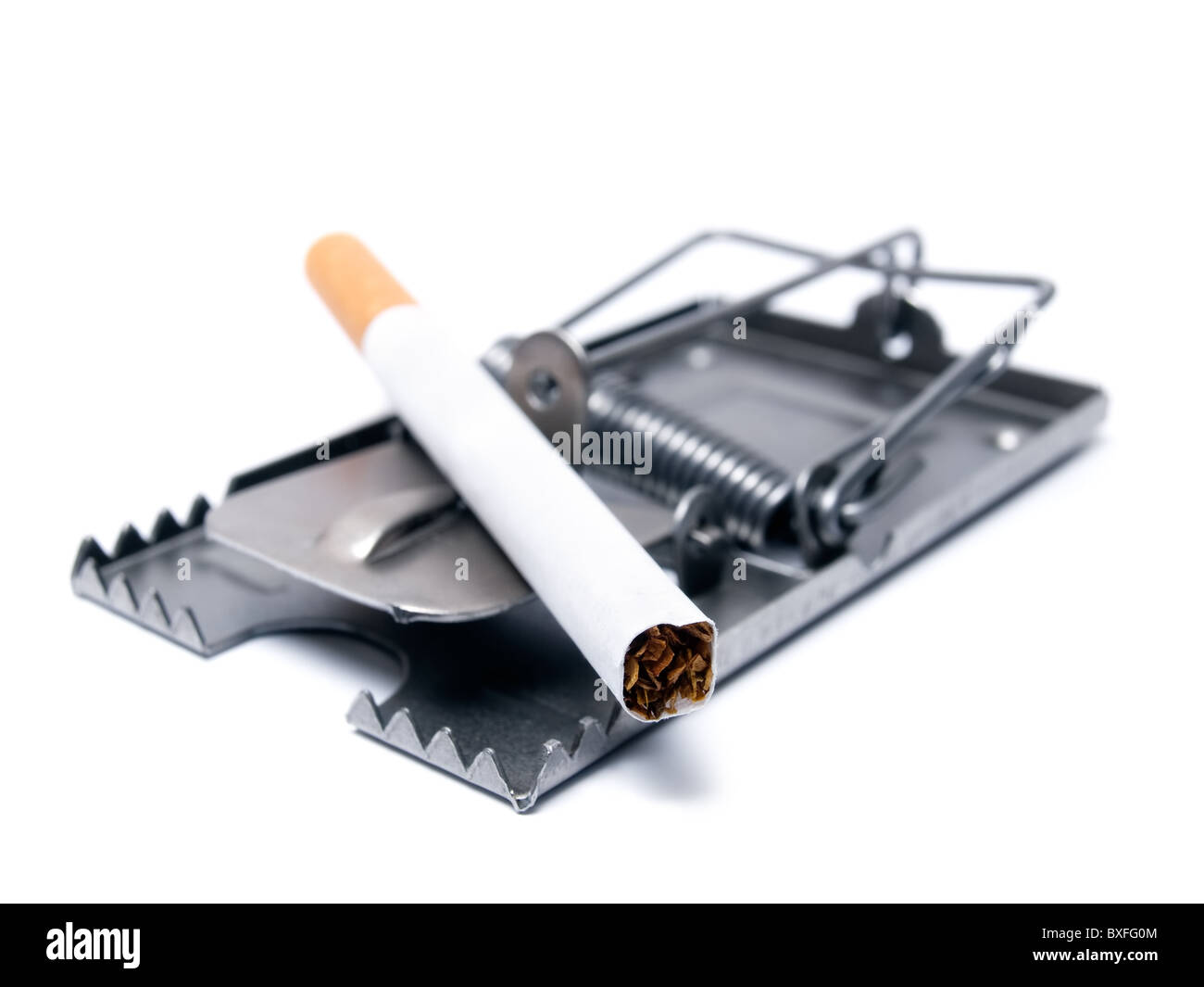 Konzeptuelle Ansicht des Rauchens präsentiert mit einer Zigarette als Köder in die Mausefalle. Stockfoto