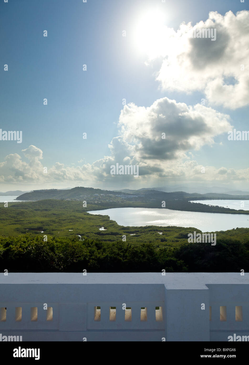 El Yunque National Forest, Puerto Rico - Blick über eine Lagune in Richtung des tropischen Regenwaldes Stockfoto