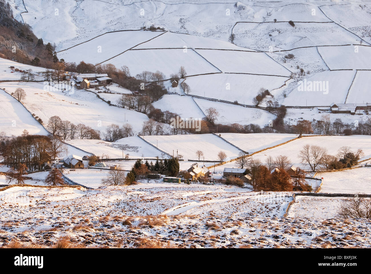 Wintersonne leuchtet den Schnee im Rosedale Stockfoto