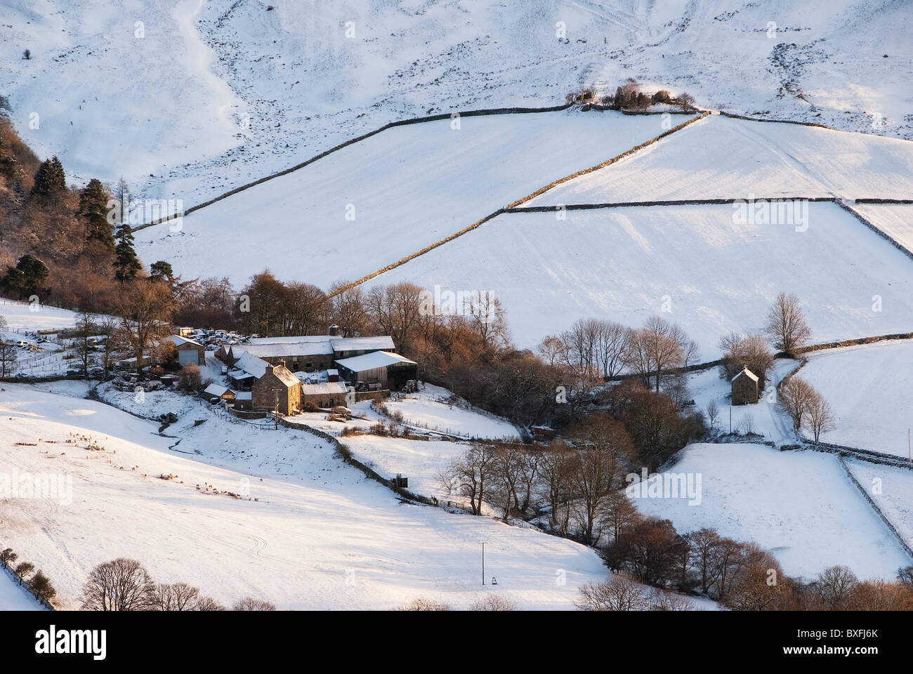 Wintersonne leuchtet den Schnee im Rosedale Stockfoto