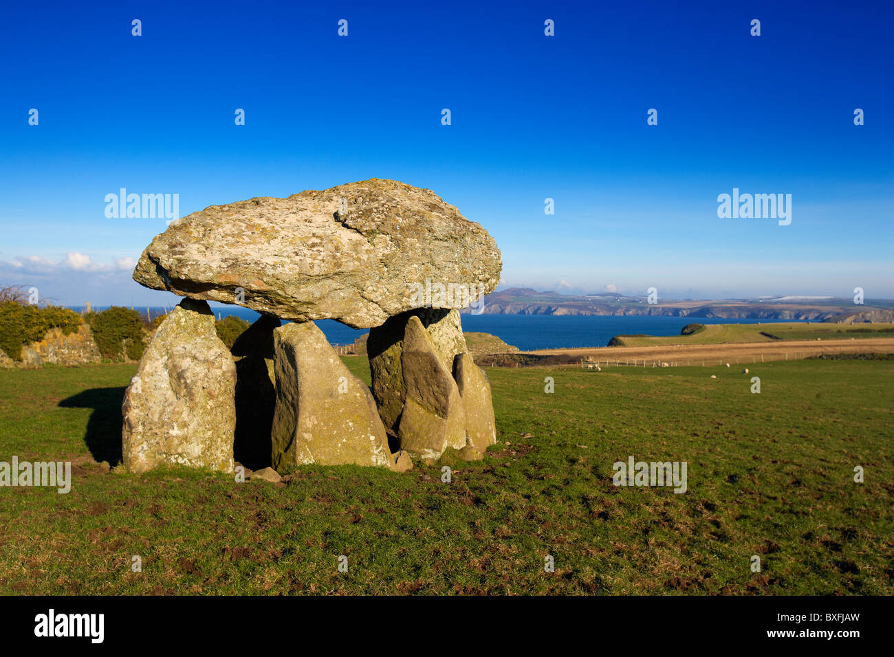 Position Samson, neolithische Grabkammer, Abercastle, Pembrokeshire, West Wales, UK Stockfoto