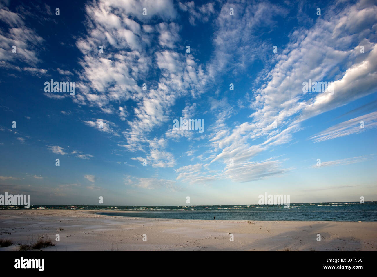 Idyllische Küste und Sandstrand auf Anna Maria Island, Florida, Vereinigte Staaten von Amerika Stockfoto