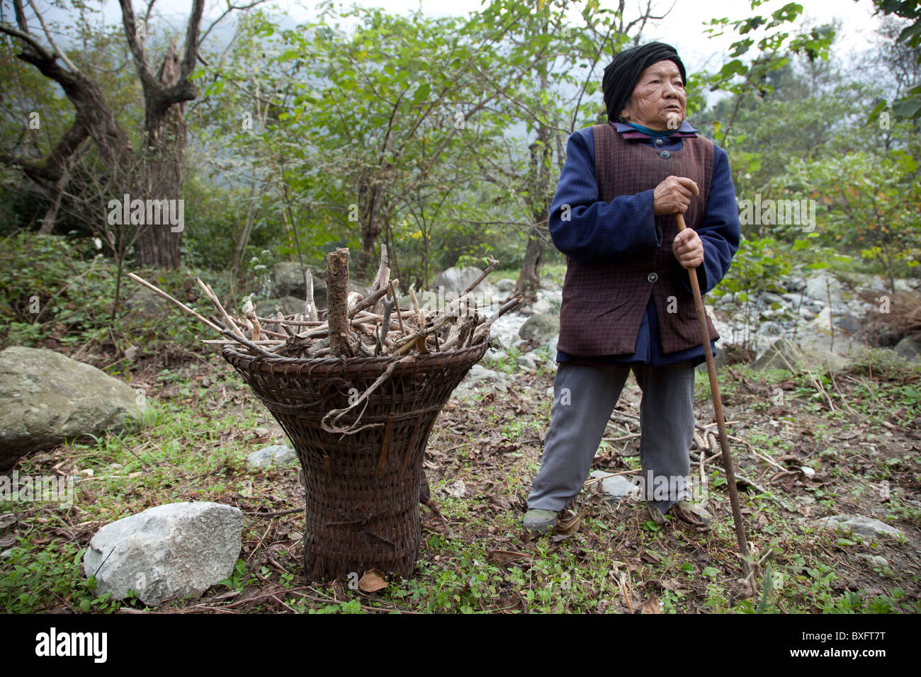 Eine alte Frauen Pausen zum Ausruhen, während sie Aufräumvorgang für Brennholz in einem kleinen Dorf in Gansu in Westchina erfolgt. Stockfoto