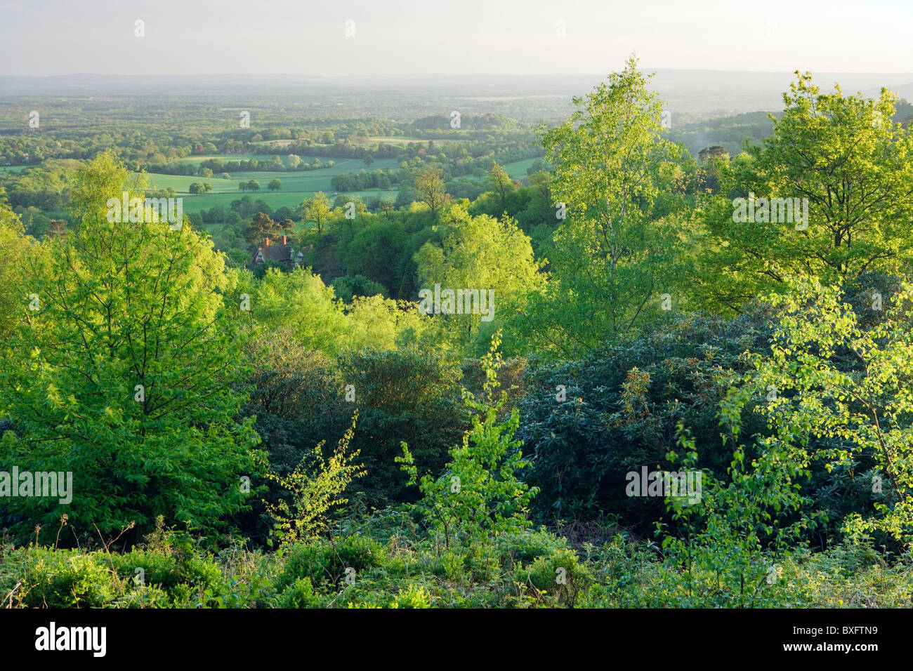 Surrey Landschaft von Holmbury Hügel, Surrey, UK Stockfoto