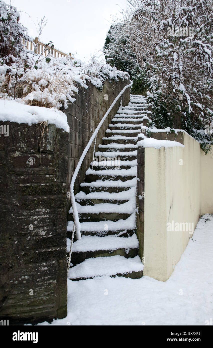 Eine Reihe von Outdoor-Schritte im Schnee mit einem Handlauf an der linken Wand bedeckt. Der Boden, die Wände und die Pflanzen sind mit Schnee bedeckt. Stockfoto