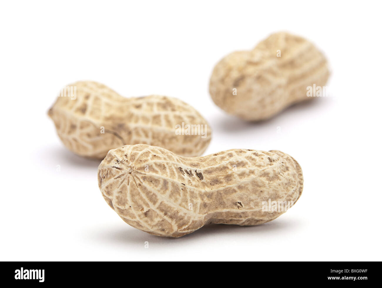 Erdnüsse in der Schale Stockfoto