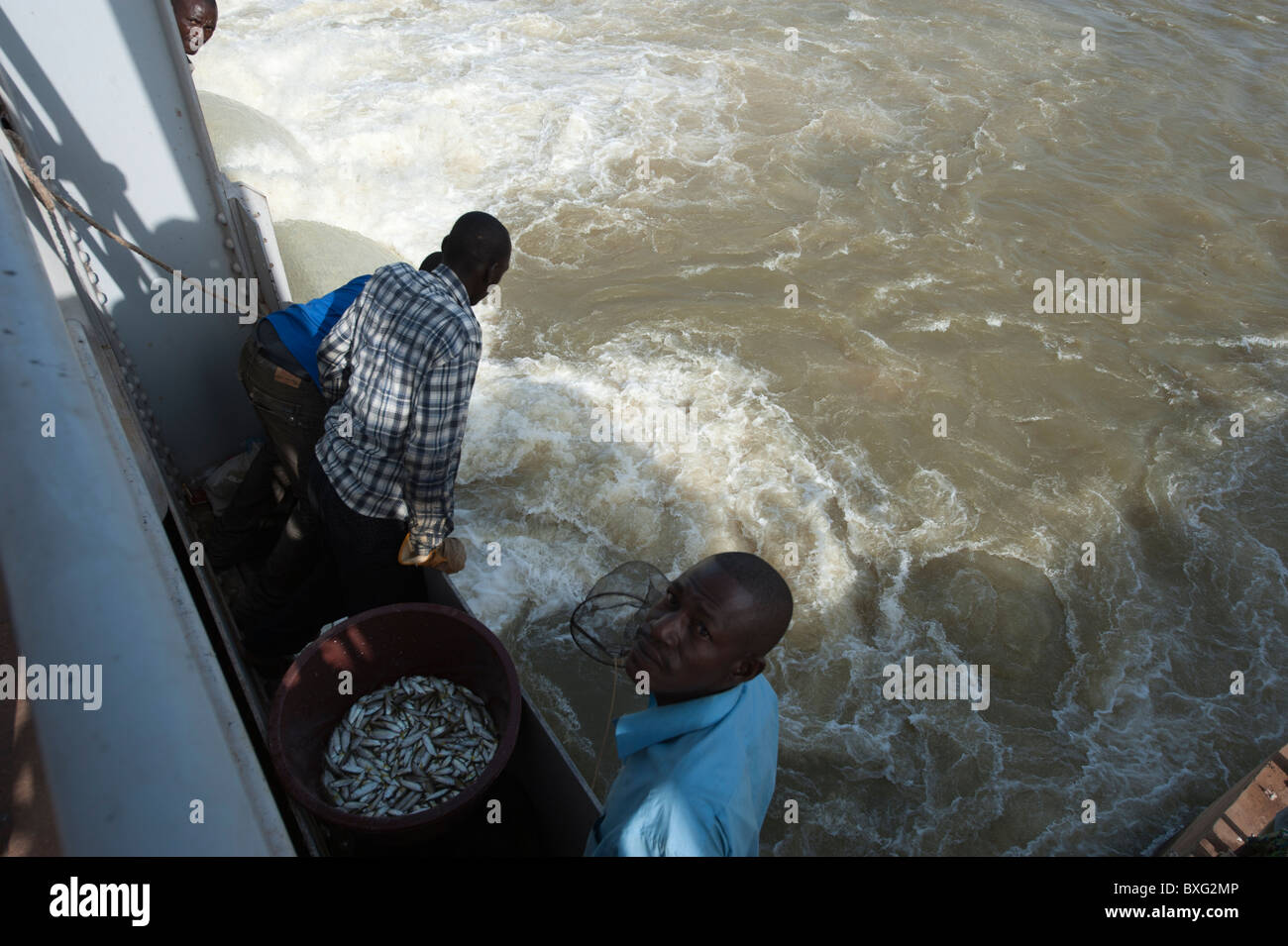 Fischer fangen Fische mit einer Kugel net auf die Barrage de Markala, (Markala Dam). 40 km nördlich von Segou, Mali Stockfoto