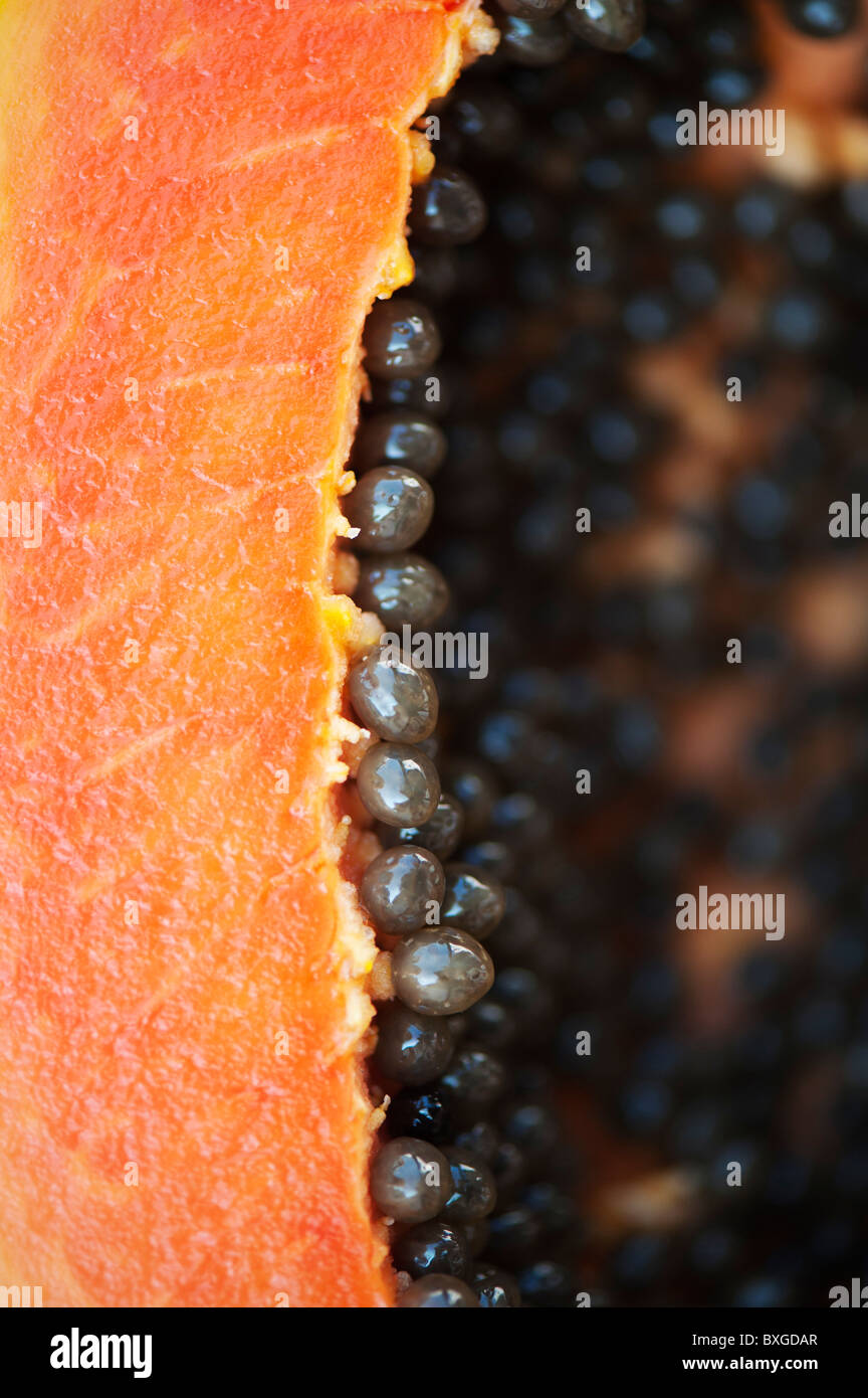 Papaya und Samen. Tropische Früchte Samen. Carica Papaya. Flache Freiheitsgrad. Indien Stockfoto