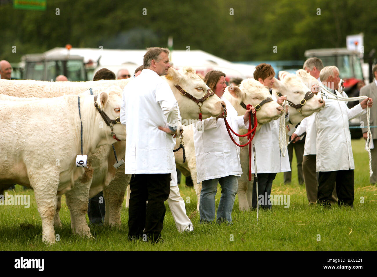 Ländliche Gemeinschaft uk Farm Show .Angus Schottland. Stockfoto