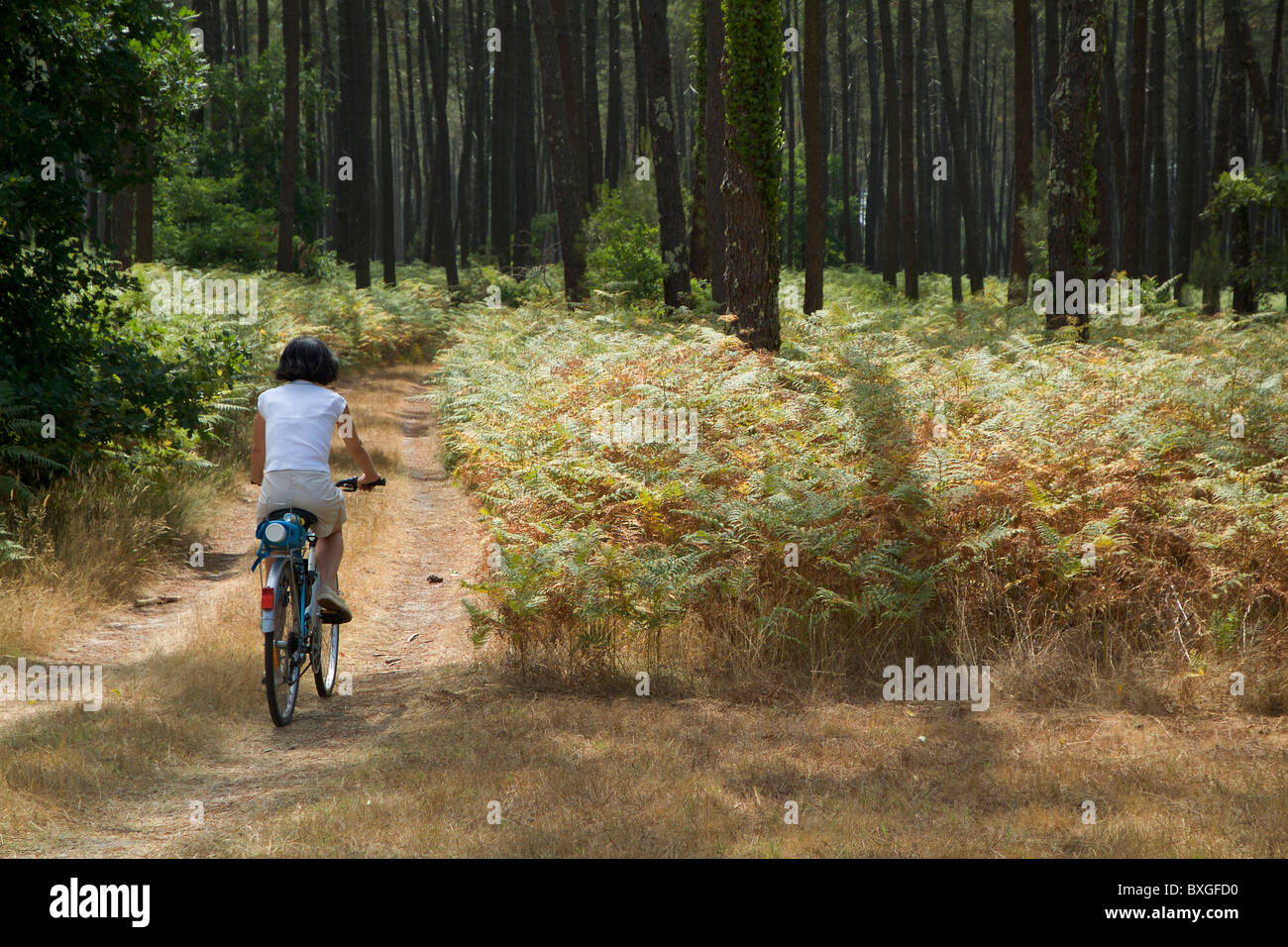 Frau Radtouren durch Wald der Landes, Aquitaine, Frankreich. Stockfoto