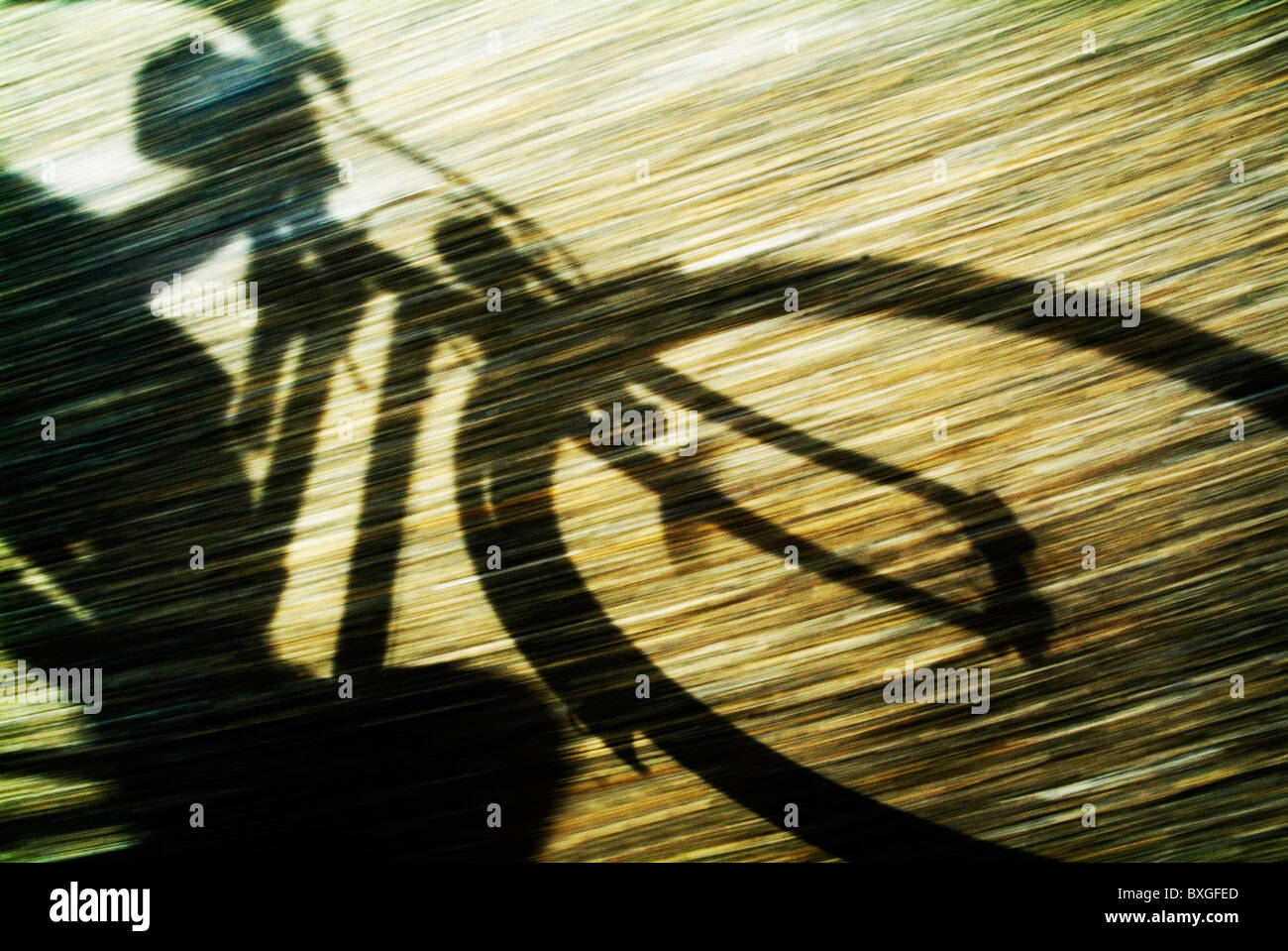 Radfahren: Schatten einer Person auf einem Fahrrad-Sicht Stockfoto