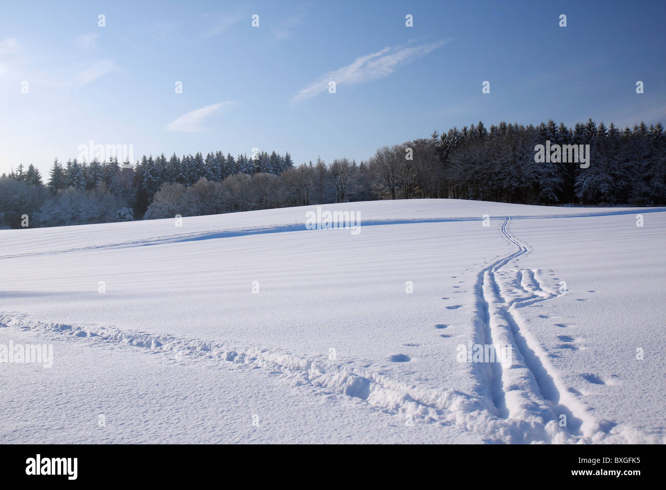 Langlauf-Loipe im unberührten Schnee gemacht Stockfoto