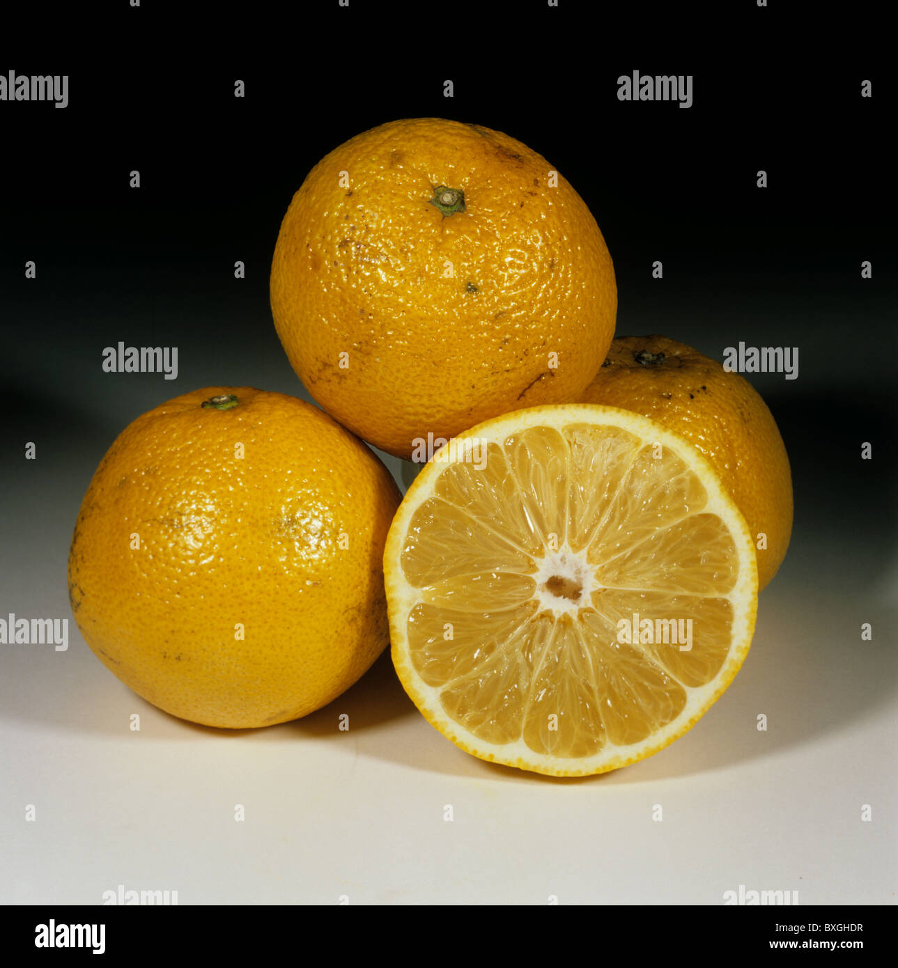 Ganze & geschnittenen Grapefruit Obst-Sorte Sonnenfrüchten oder Armen Mans Orange, Herkunft Swasiland Stockfoto