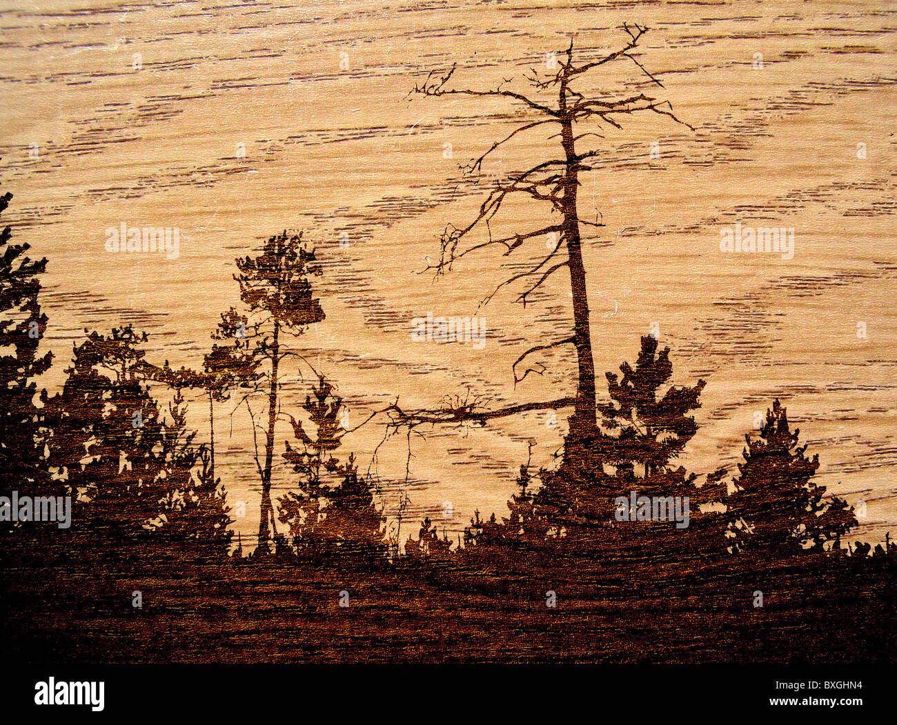 Holz-Hintergrund Stockfoto