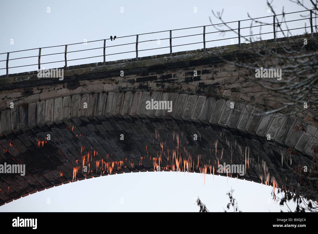 Eiszapfen, leuchtet rot der untergehenden Sonne hängen von einem der Bögen von der Victoria-Viadukt in Washington, England, UK Stockfoto