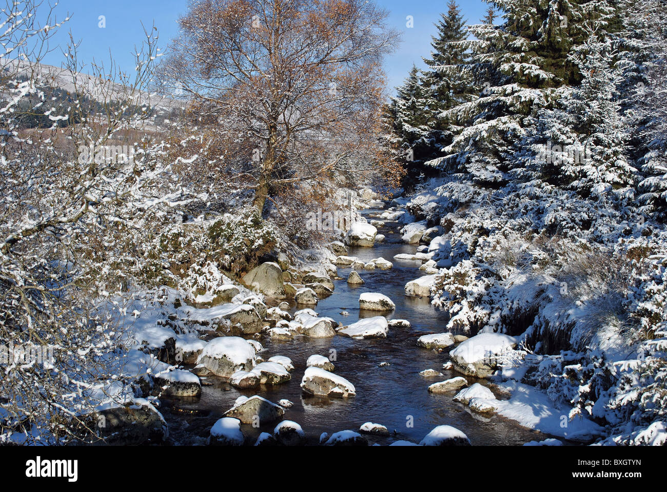 Winter-Wunderland in Irland Stockfoto