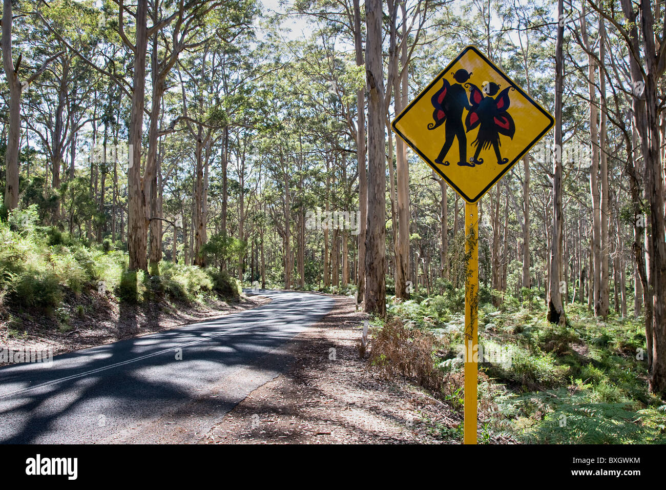 Elfen, die Straße überqueren zu unterzeichnen, durch den Karri-Wald des Leeuwin Naturaliste Nationalparks in Western Australia Stockfoto