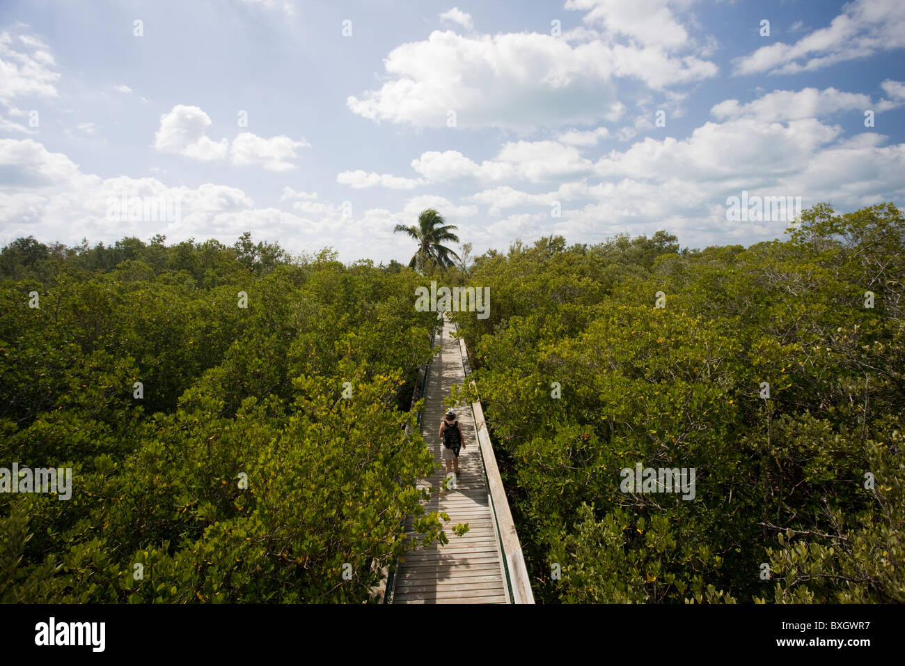 Touristen auf der Promenade in den Everglades, Florida, Vereinigte Staaten von Amerika Stockfoto