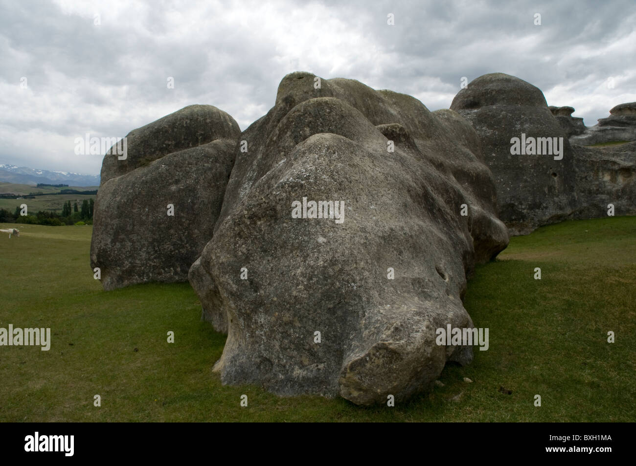 Die Elephant Rocks des New Zealand Waitaki Valley sind Kalksteine, die in den letzten Millionen Jahren erodiert Stockfoto
