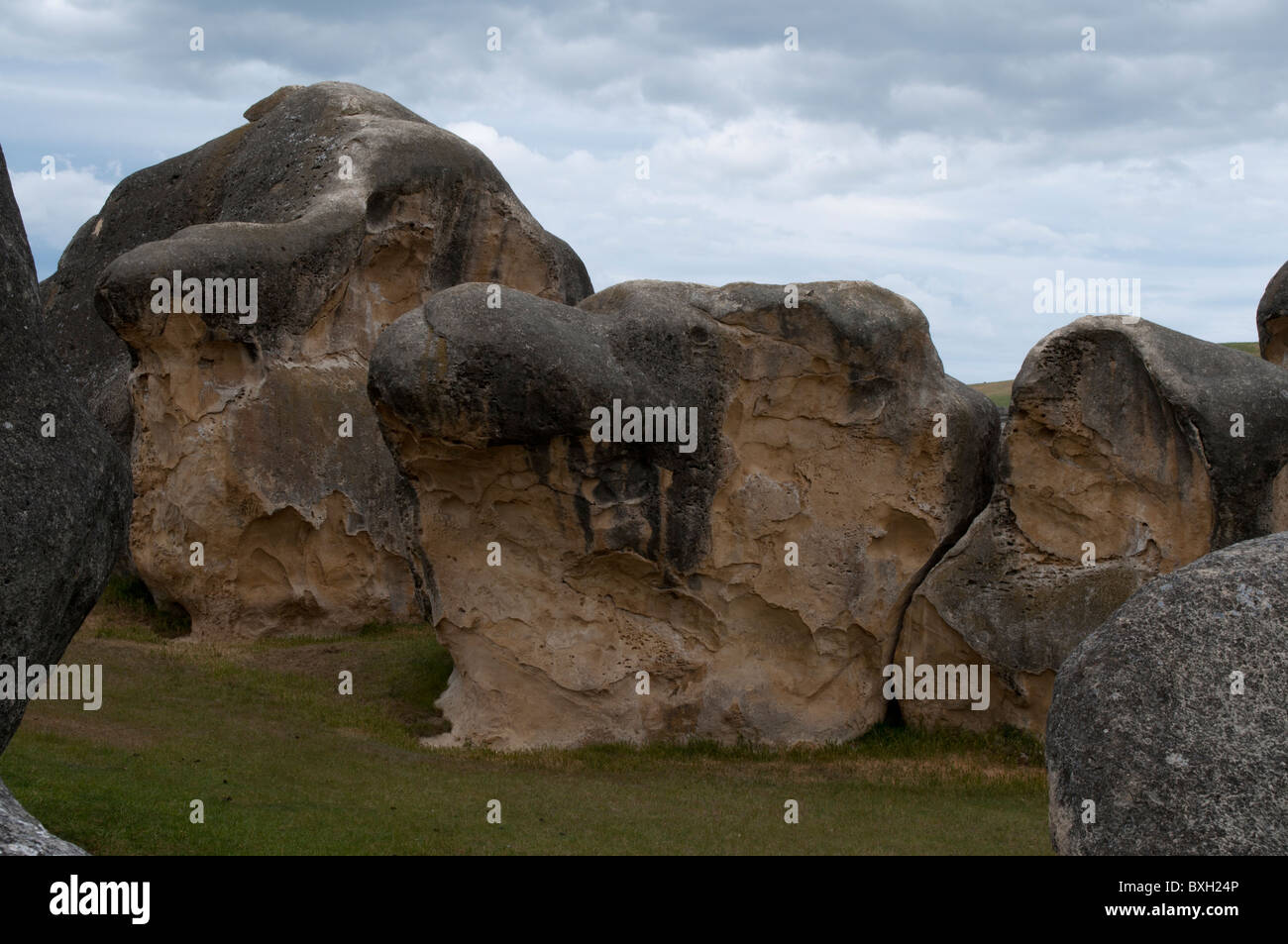 Die Elephant Rocks des New Zealand Waitaki Valley sind Kalksteine, die in den letzten Millionen Jahren erodiert Stockfoto