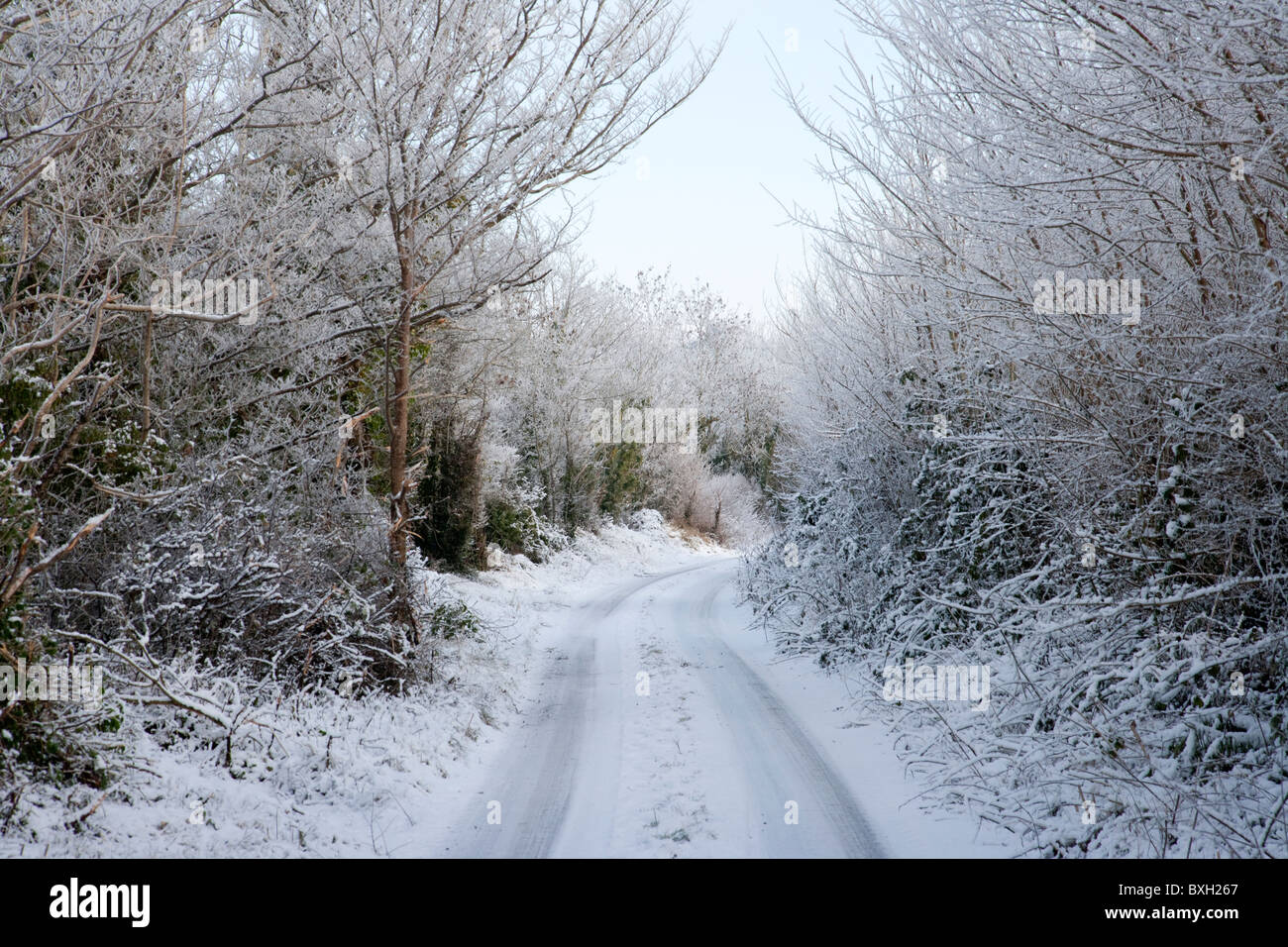 Schnee auf irischen Straßen, County Limerick, Irland 2010 Stockfoto