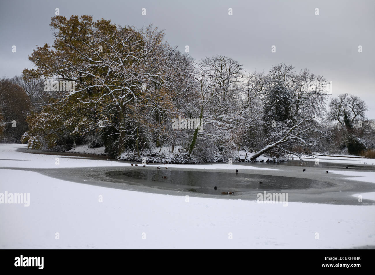 gefrorenen Eis auf einem See mit schneebedeckten Bäumen hinter Stockfoto