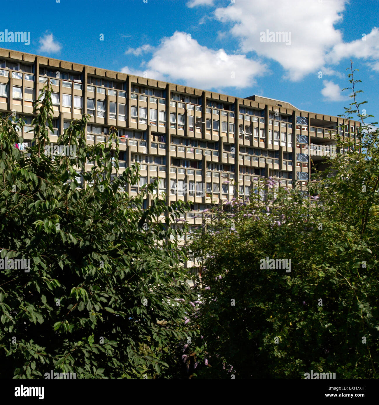 Robin Hood Gardens Pappel London UK 2008. Stockfoto