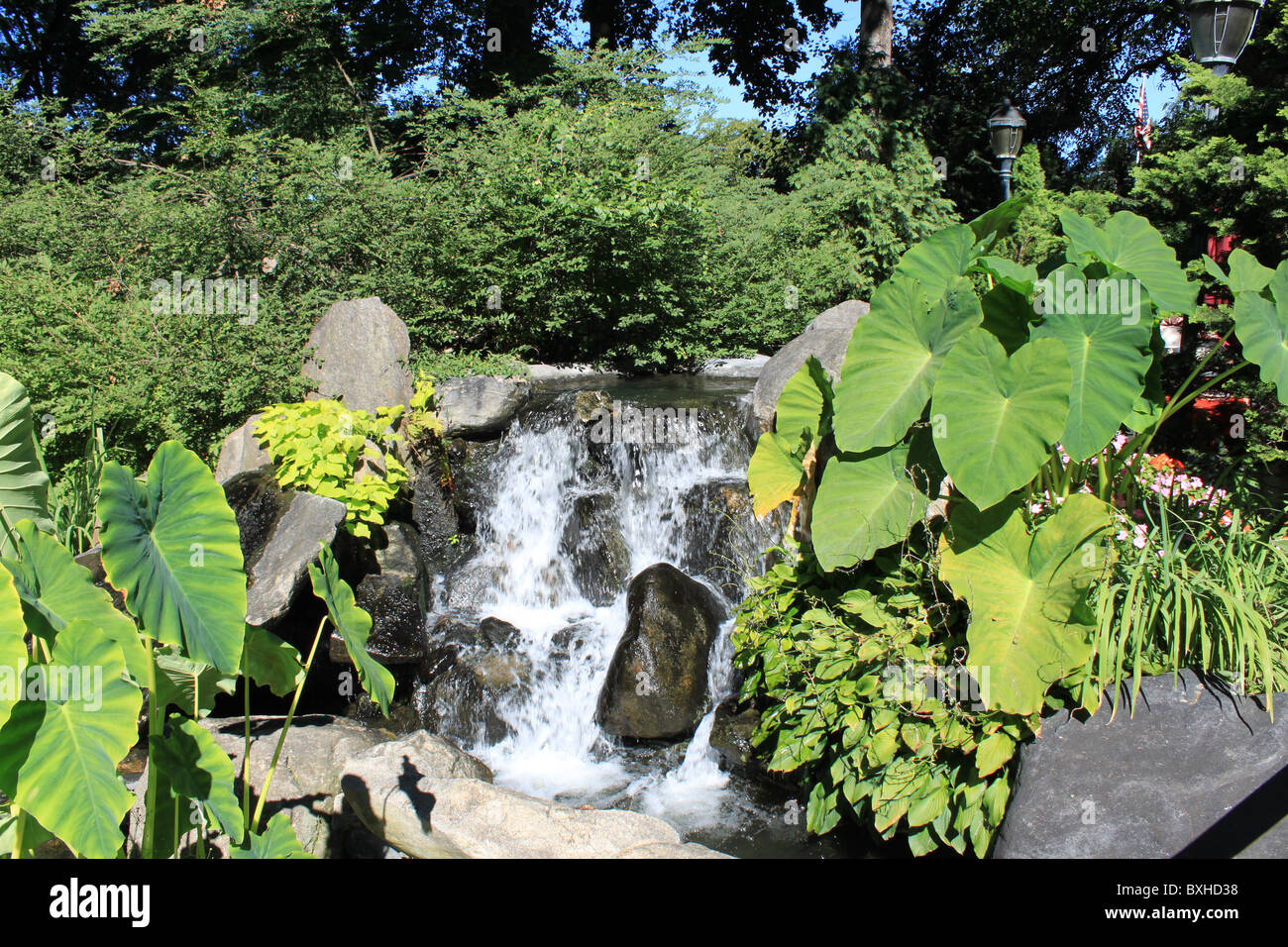 Malerische Wasserfälle Stockfoto