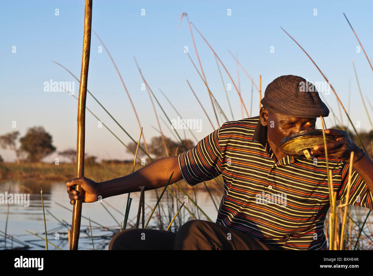 Mokoro-Poler. Okavango Delta, Botswana, Afrika. Stockfoto