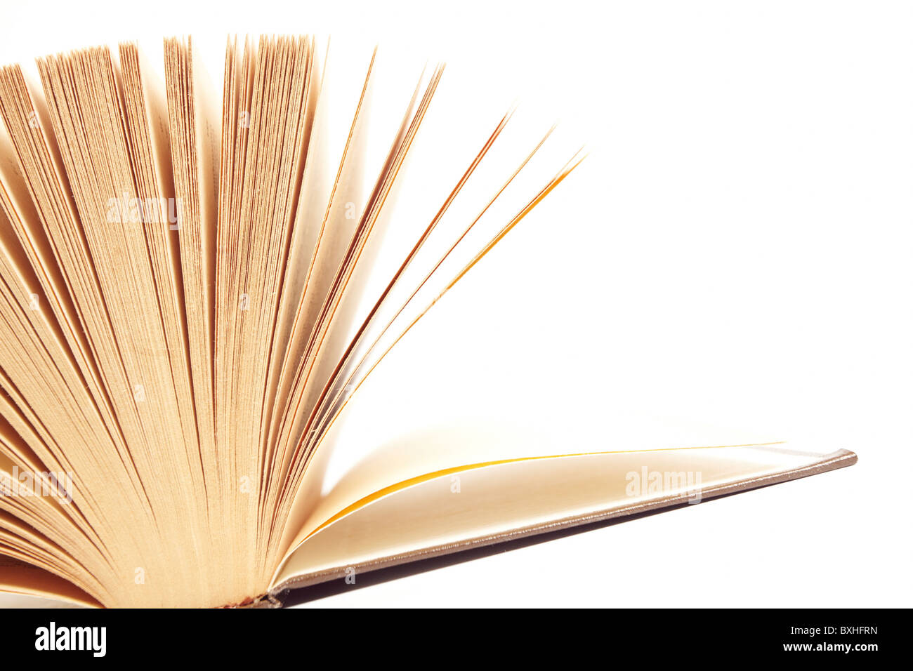 Buch öffnen Stockfoto