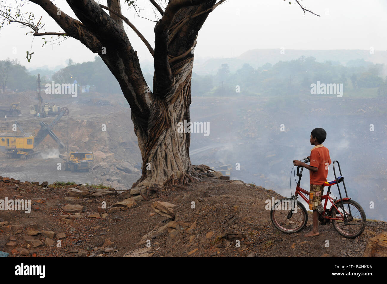 Indien Jharkhand Jharia, brennen Tagebau Kohle Minen von BCCL Bharat Kokskohle Ltd., Baum und Junge mit dem Fahrrad Stockfoto