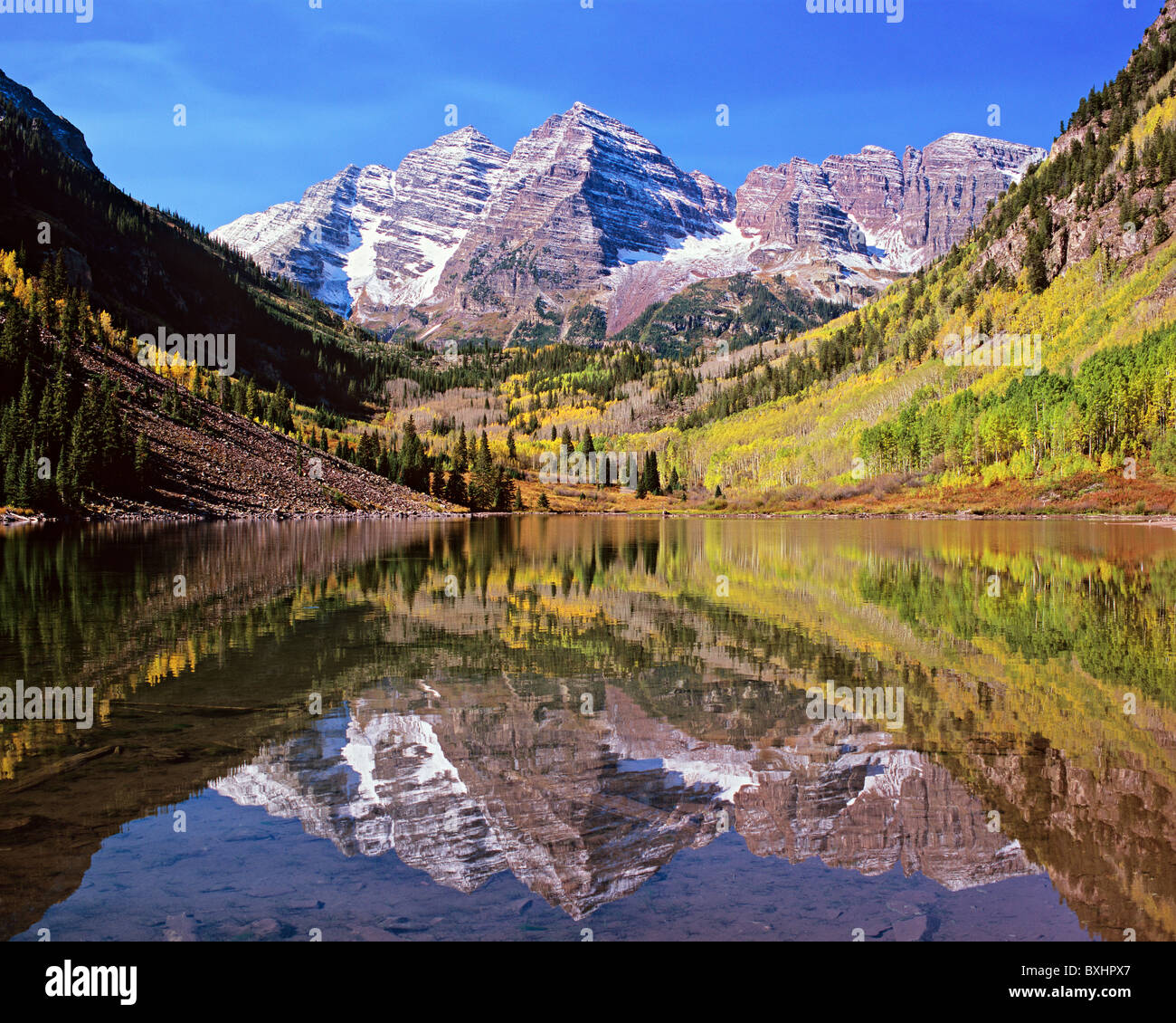 Maroon Bells widerspiegelt mit goldenen Aspen, Rocky Mountains, Colorado, USA im Maroon See. Stockfoto