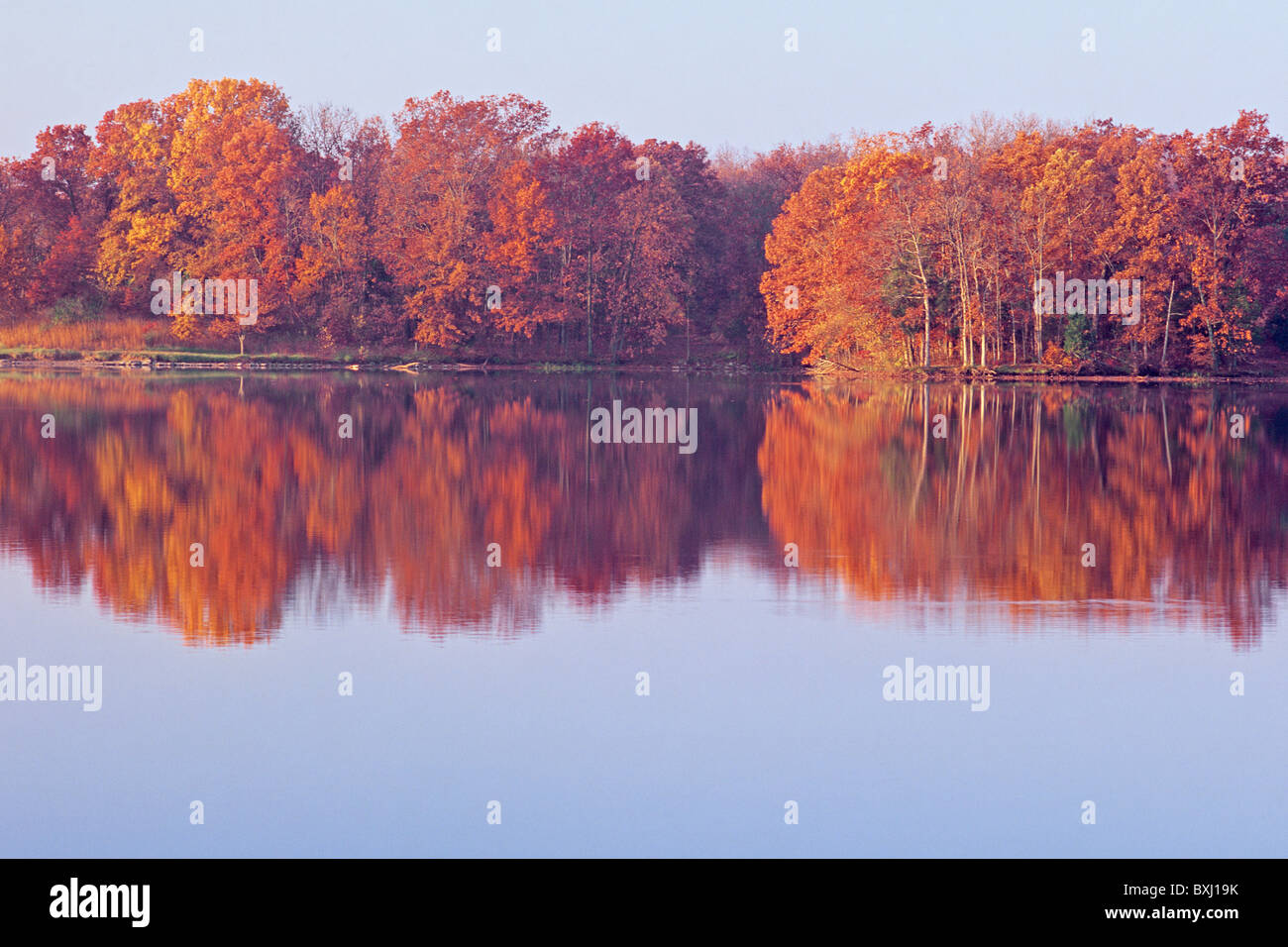 Am frühen Morgen im Herbst Bäume spiegeln sich in kleinen Dixie-See, kleine Dixie Wildlife Area, Missouri, USA Stockfoto