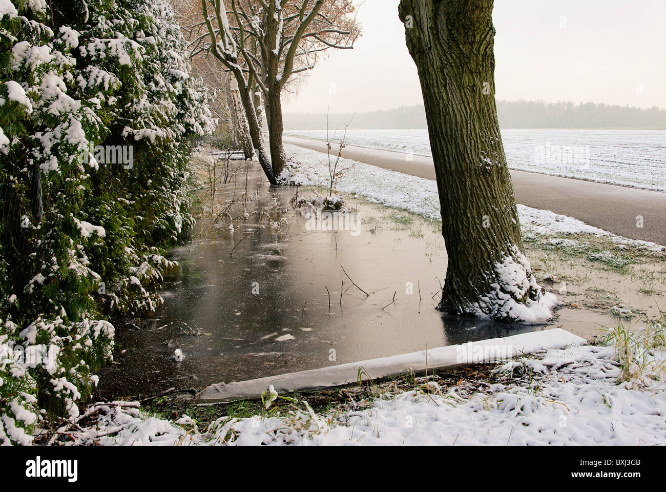 Wassergraben Im Winter - Wasser Graben im Winter 04 Stockfoto