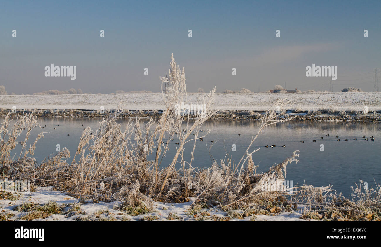 Fluss Trent Raureif Stockfoto