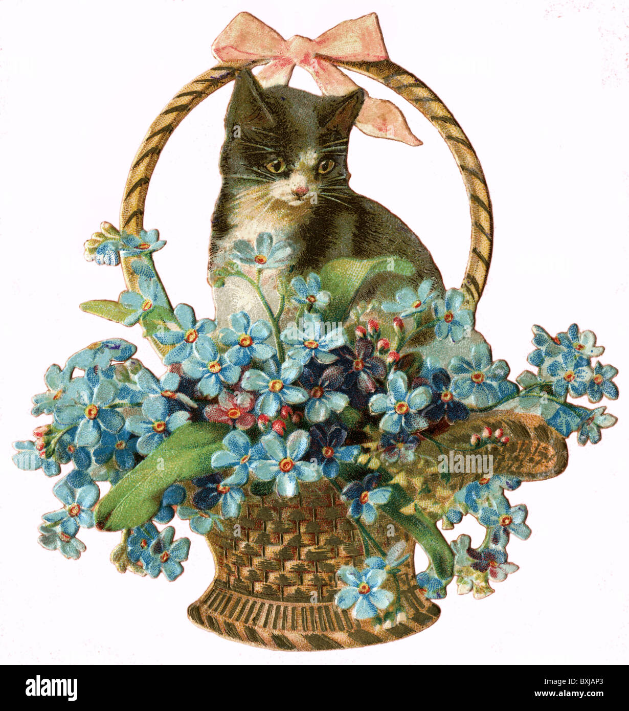 Kitsch Souvenir Katze Im Blumenkorb Lithographie Deutschland Um 15 Zusatz Rights Clearences Not Available Stockfotografie Alamy Kitsch Souvenir Katze Im Blumenkorb Lithographie Deutschland Um 15 Zusatz Rights Clearences Not Available Stockfotografie Alamy