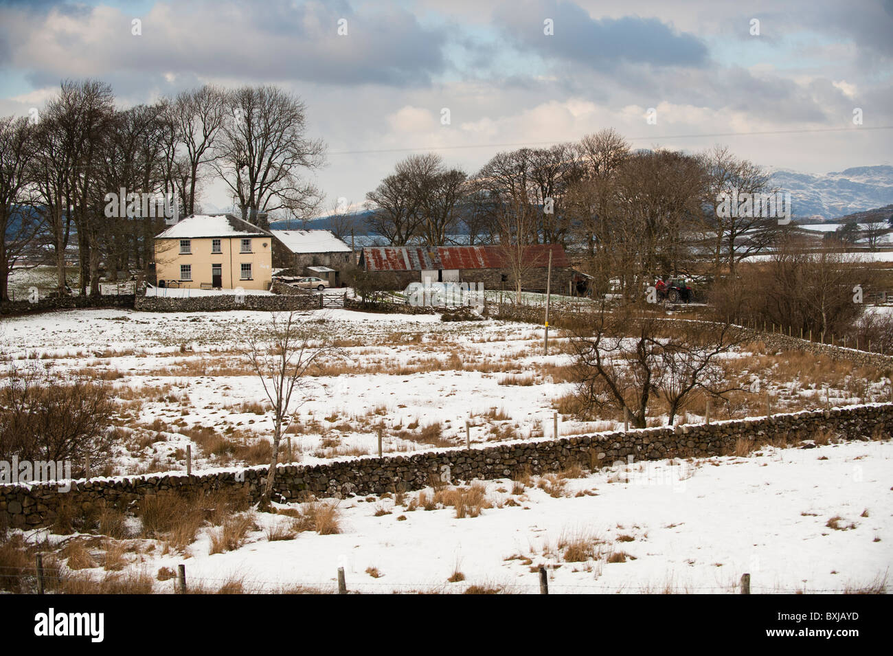 Walisische Bauernhaus im Schnee, in der Nähe von Trawsfynydd Gwynedd, Nordwales Snowdonia Stockfoto
