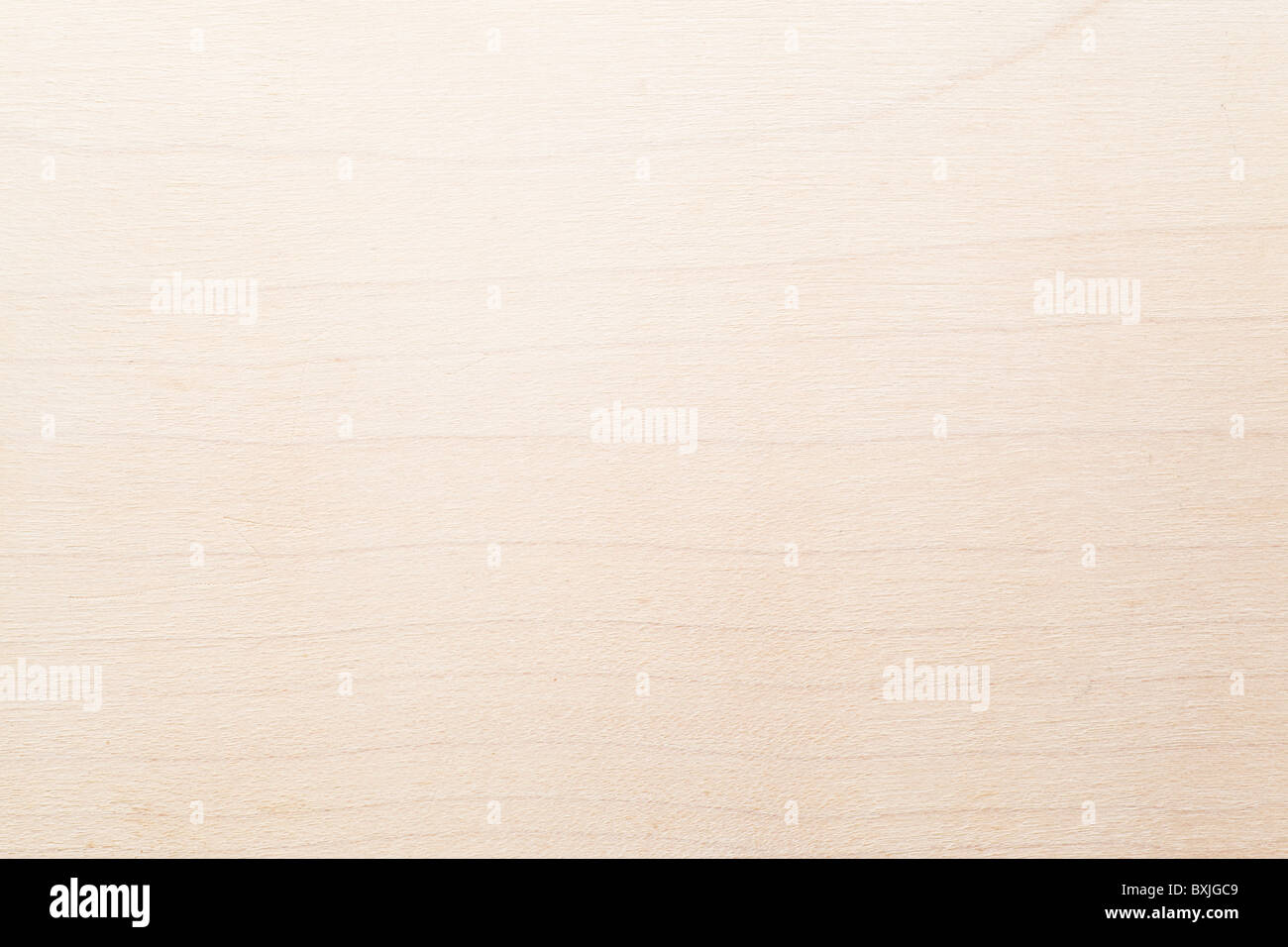 Acer / Maple White Oil Holz Textur Stockfoto