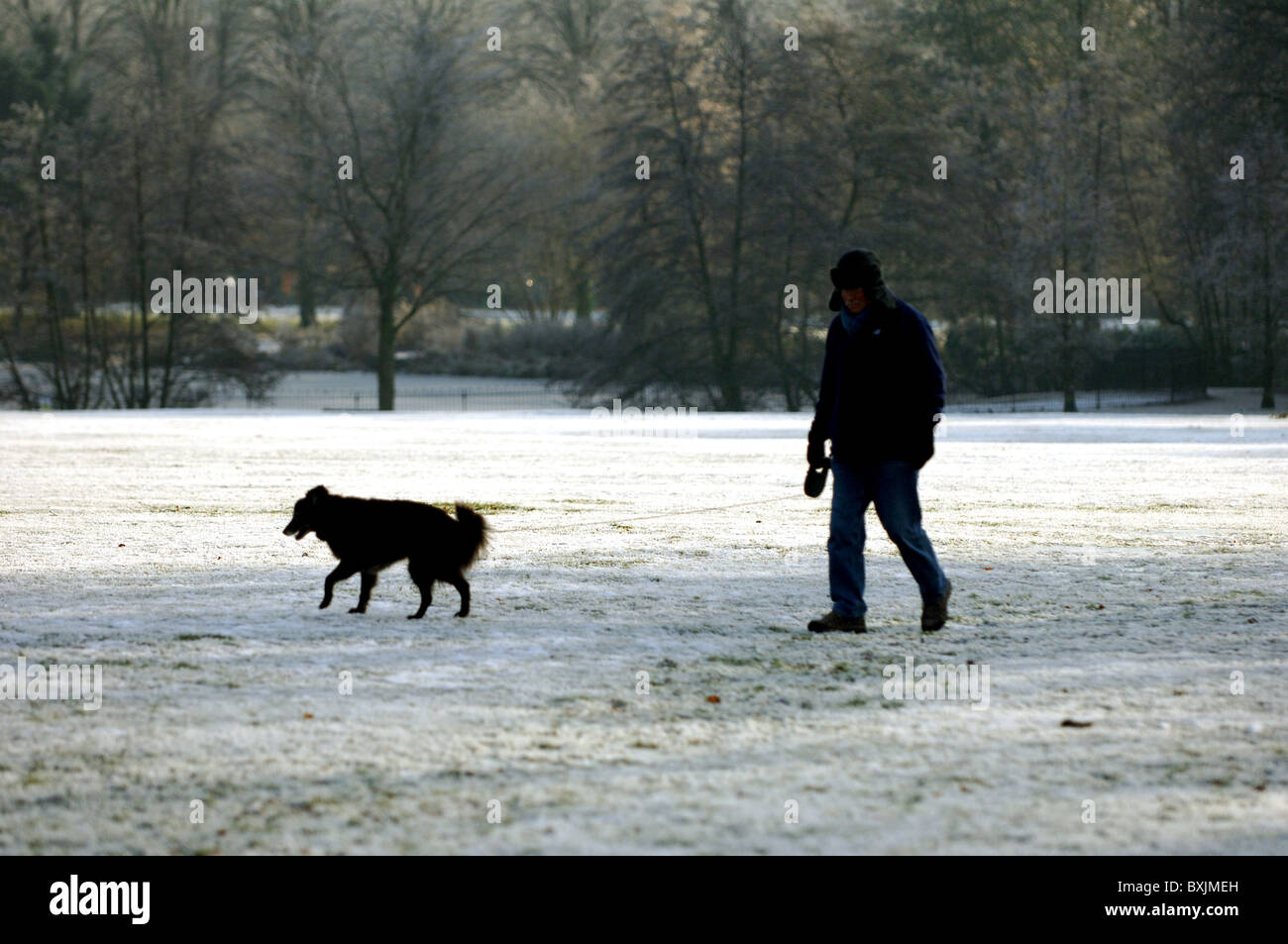 Mann zu Fuß einen Hund in einem verschneiten Park. Stockfoto
