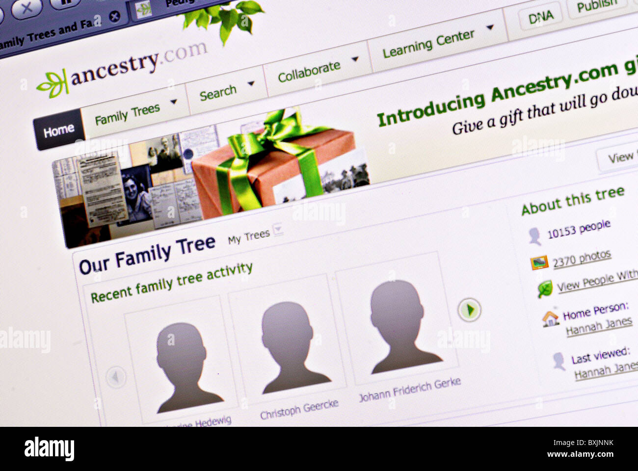 Stammbaum und GenealogieInformationen auf Ancestry.com Stockfoto